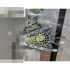 Uploaded File